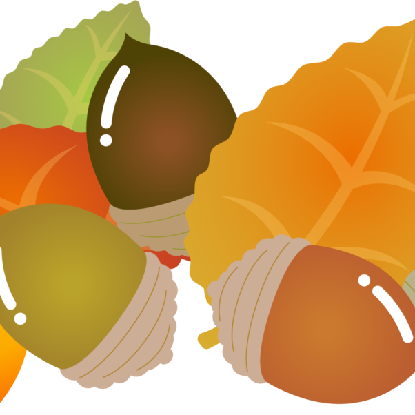 kisetsu9gatsu01aki_060-1024×602